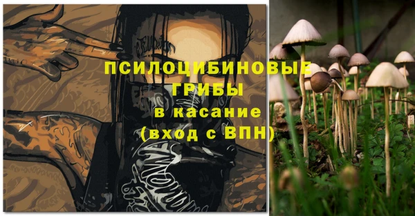 синтетический гашиш Алексин