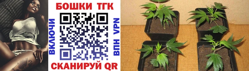 Бошки марихуана THC 21% Липки